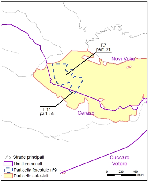 Ceraso – Novi Velia – particelle catastali (pf9)