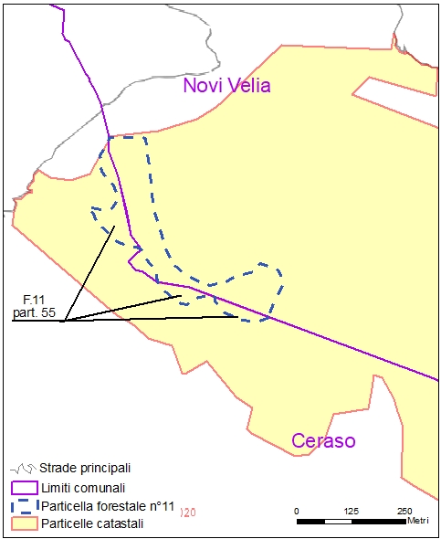 Ceraso – Novi Velia – particelle catastali (pf11)