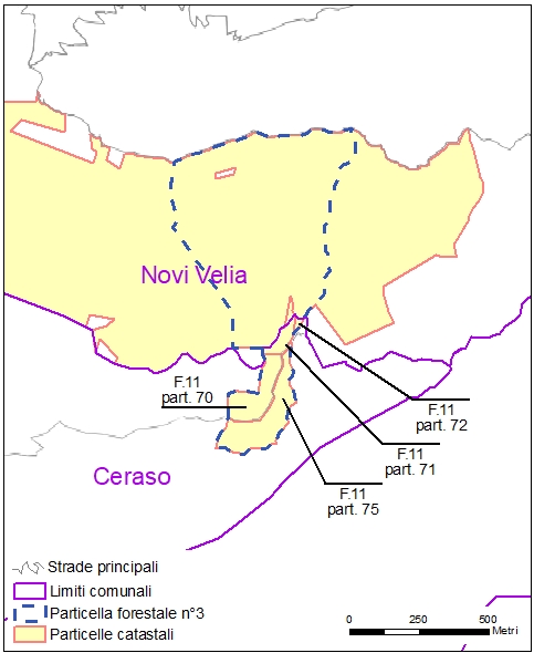 Ceraso – particelle catastali (pf3)